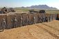 Mil Gabion Mesh Hesco Sandbags Pagar Bastion Barrier Isi Wall Army Protection pemasok